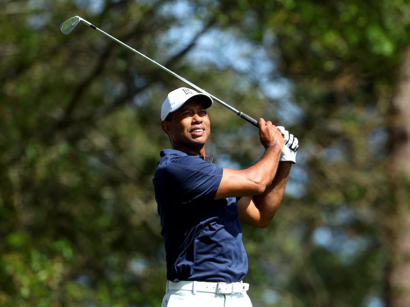 Tiger Watch: Back On The Prowl?